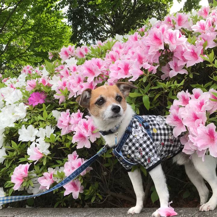 05393139 7149 4806 a79a 4156561e5e8d 1557115452666