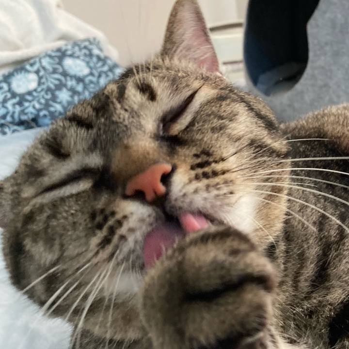 053933d2 9c4e 4f93 b474 d7fc6a9a0863 1660179494647