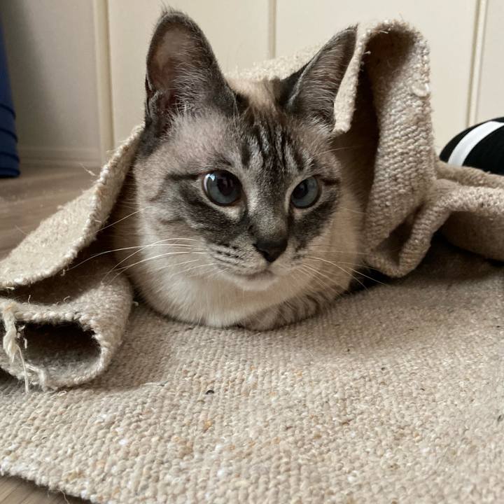 053960c7 c48a 4a08 be1d c85fd68cdc00 1684107700717