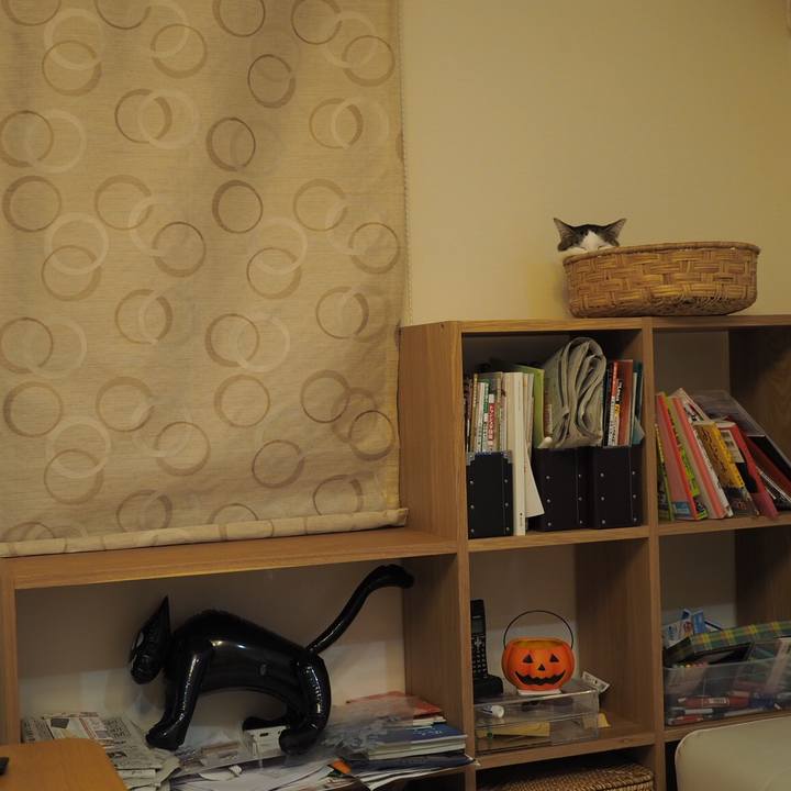 05396cbf 593d 4fae 876e f59762a1d7c9 1540544407939