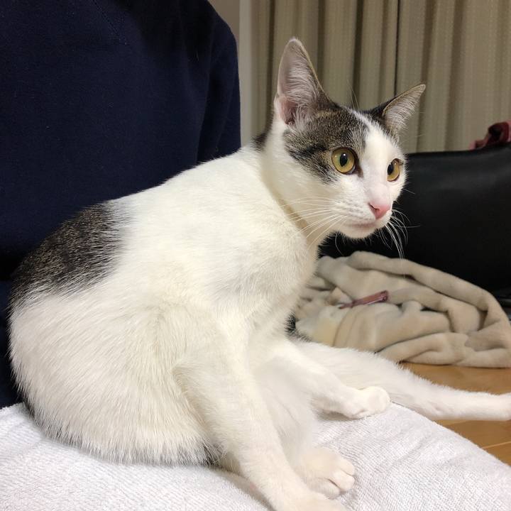 0539b1aa adee 46fa 9a7b 1003a9613224 1579439556485