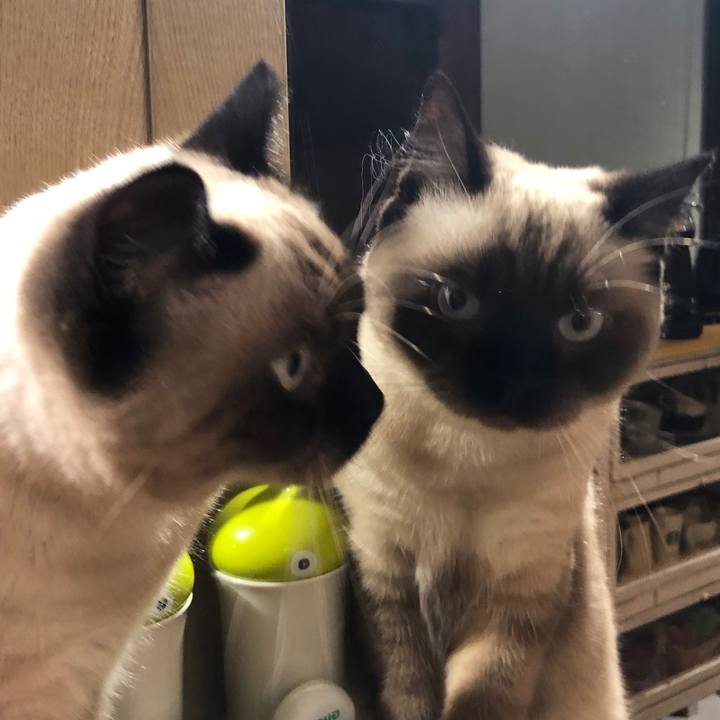 0539b86e e2f9 4cd6 bd4c f6b7f4fd6901 1601867155869