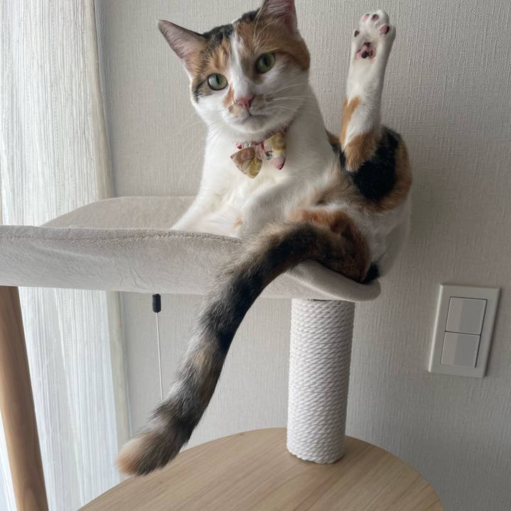 0539beb4 1e36 4e1e 8e7d b5c528292528 1635982593522