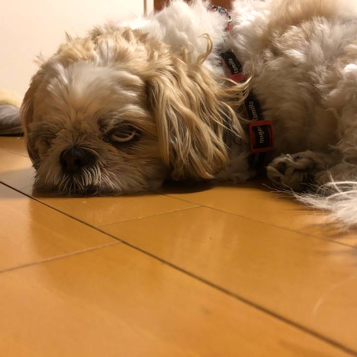 0539c6b0 c66e 45ac 9708 70ccdec14319 1591393882548