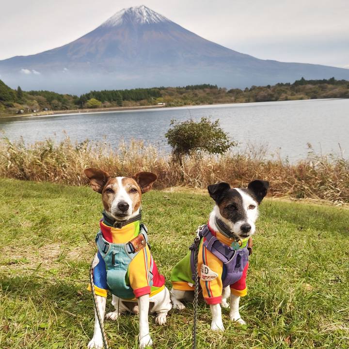 0539cd41 e59b 4a5e b713 d4d1fd6e3926 1762067723835