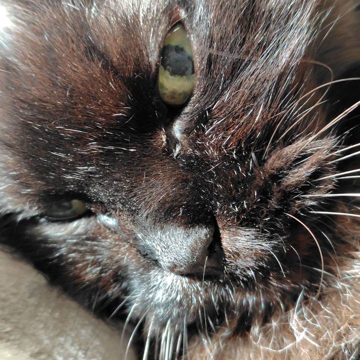 053a0742 e29f 4934 b242 d3a124455e46 1766792449736