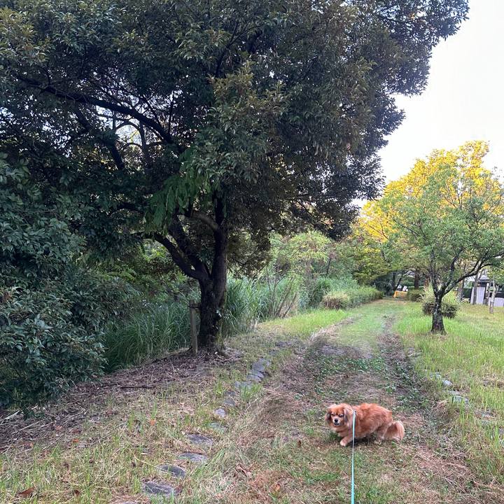 053a08d4 8a6a 432d 8100 d40a4fd6807f 1726002982791