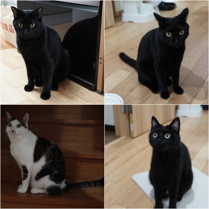 053a1d7b 79d1 460c 8d29 b4b1282c36c0 1565322855311