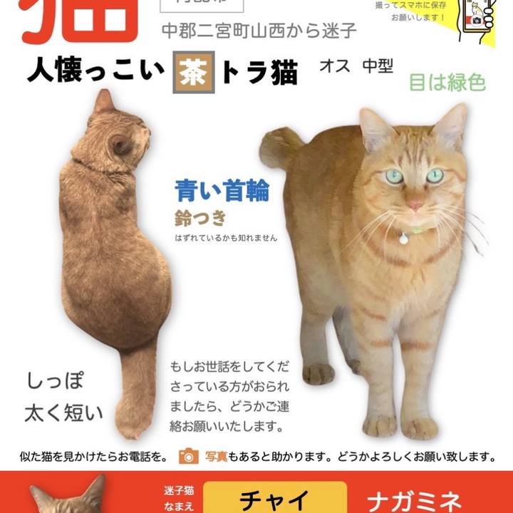 053a2168 4ae4 493e a6da e39aa53e9ec6 1739356714621