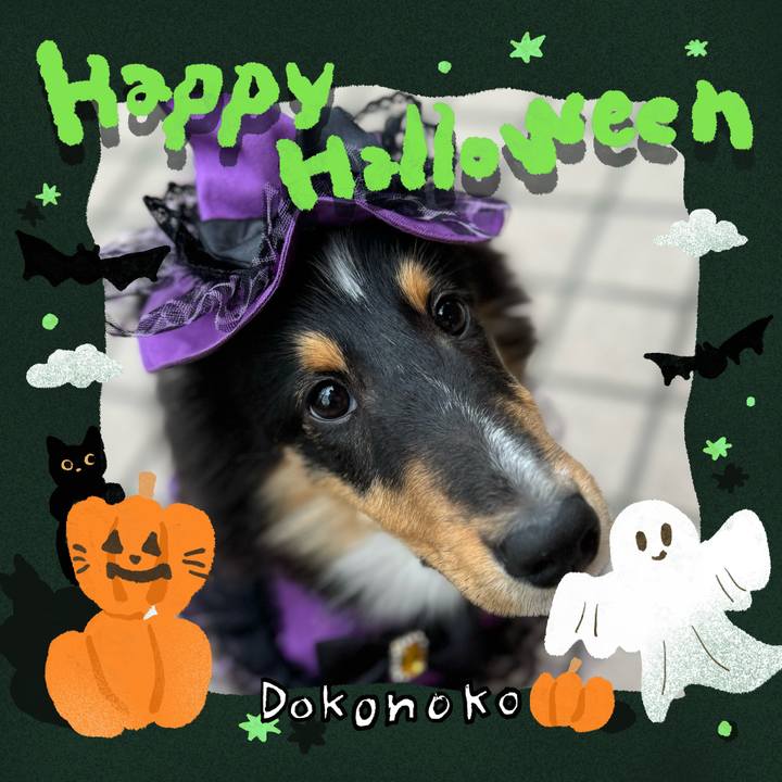 053a6c81 37e8 489f 8c12 263ea7074756 1730126236773