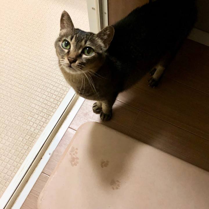 053a92af 8a1d 4596 b03c b91f92489b48 1701234803750