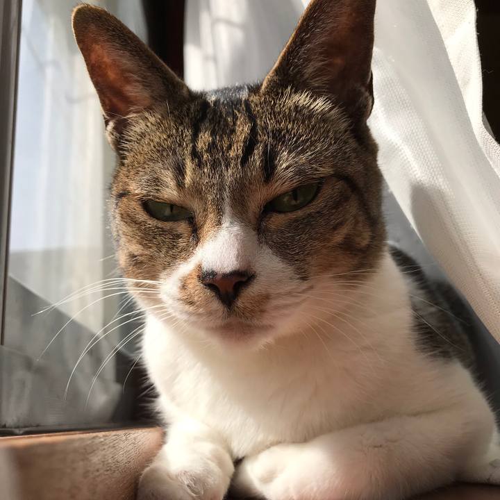 053aa297 9643 4445 ba98 a7841ece3d36 1520472563225