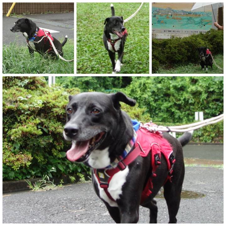 053aef56 dbb6 4b5b 9e4a 461b282c3acb 1657672509309