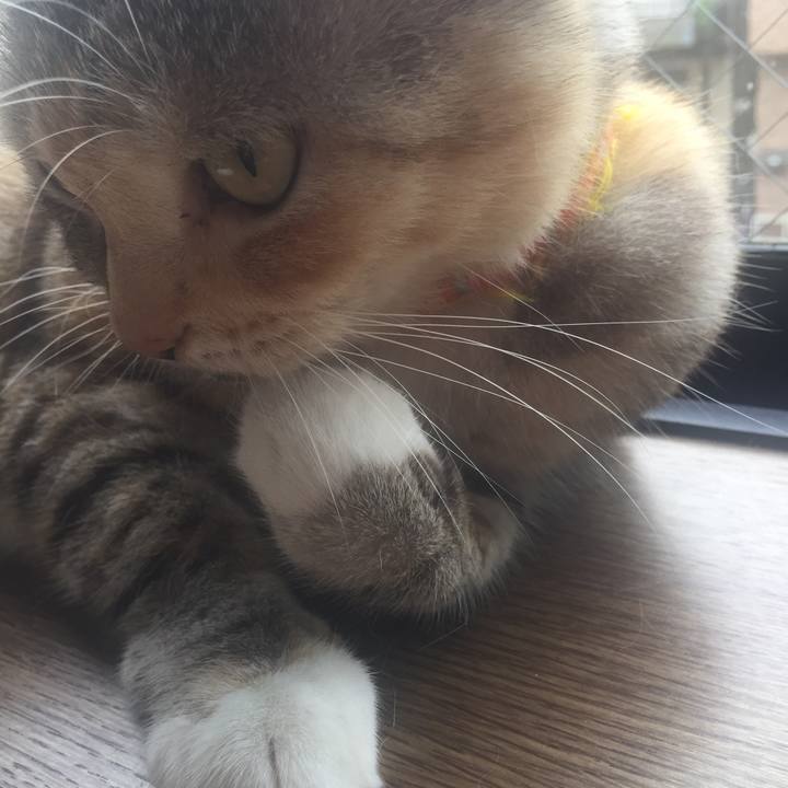 053b094e c088 4df1 b566 c4d31943aa7c 1569025622675