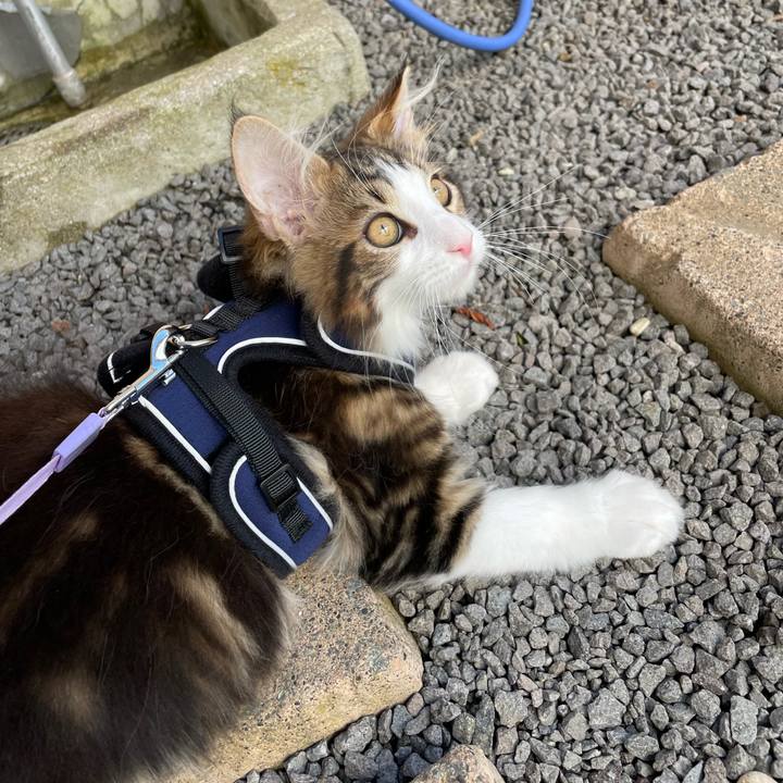 053b3654 af1c 4be0 bdf5 6c911fc68a2f 1633228867871