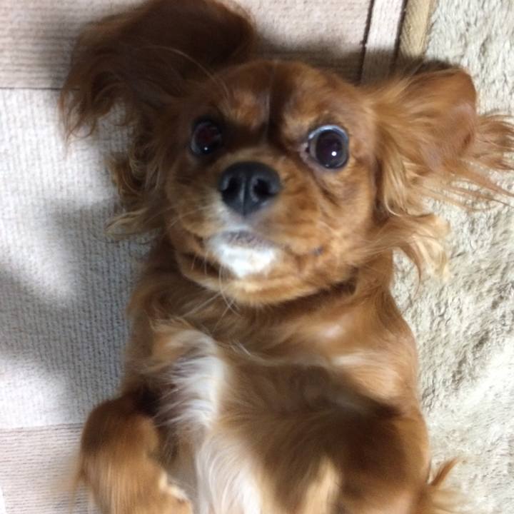 053b3811 649d 402d ad86 80eaefdce2a4 1511950056180