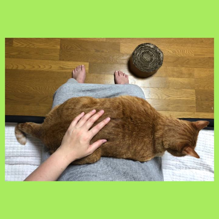 053b508d 003b 4e36 9e26 c5773f0df463 1591529830638