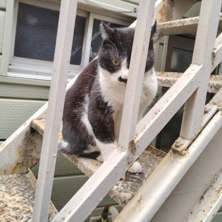 053b73c1 6ea9 476e 93de 16188f00ed2d 1707900452870