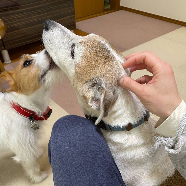 053be195 4930 4712 979f 93f5e57bd93c 1645926684787