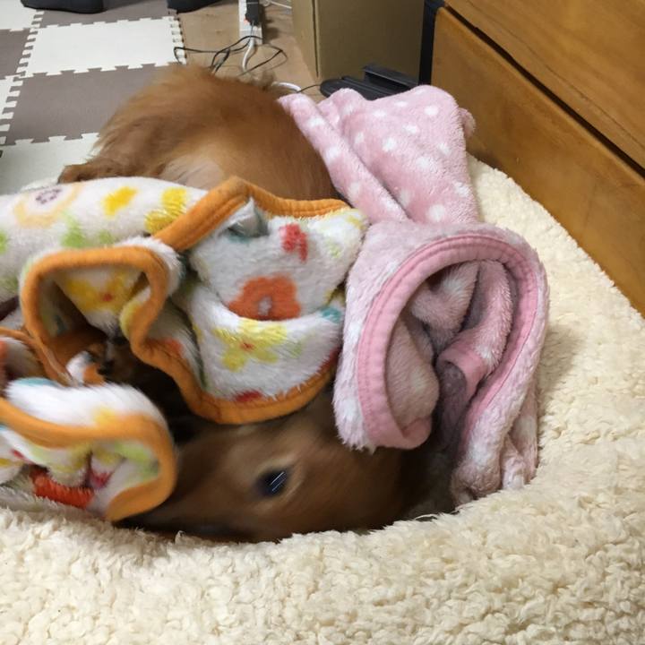 053bf1c6 cbcb 4aa2 9244 069beefa0f08 1544797893331