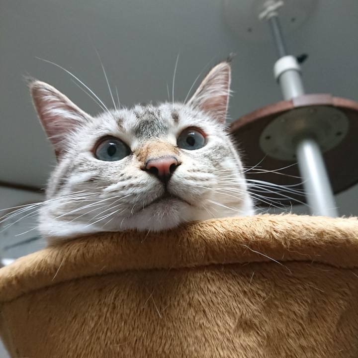 053c0a69 499f 4dfd a267 1327bb9f1a5f 1532829265584