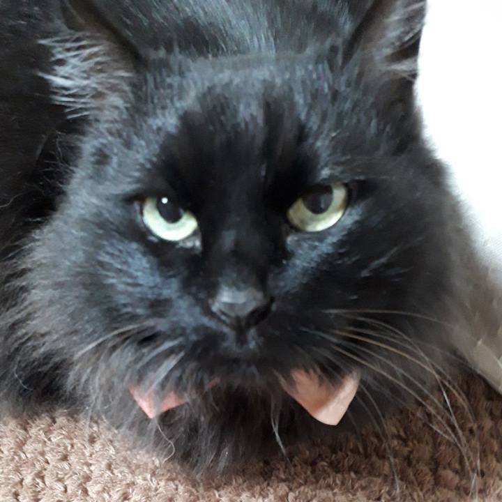 053c2a1e 9679 432b 81e4 ee6d0a96b2fe 1521230179774