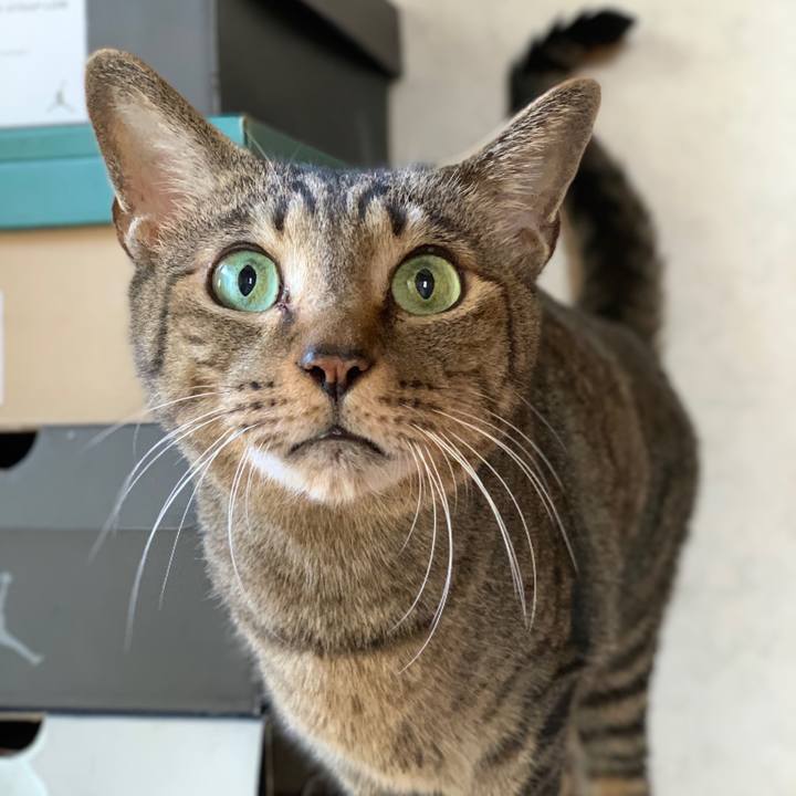 053c5467 cc01 460d b129 85c3230bcefb 1542505337835