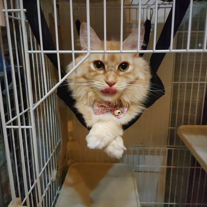 053c60a6 b3cb 43d0 a695 f0e04eed5779 1663556795943