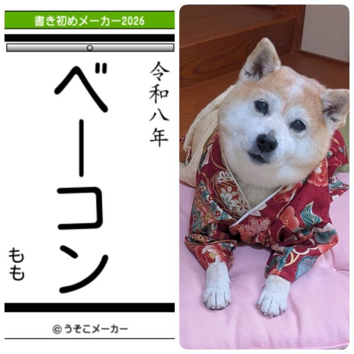 053c6758 b29f 4260 95fa 03a27f8e71d2 1767401426547