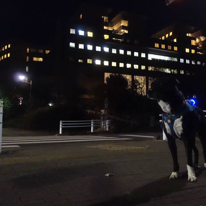 053caca1 5776 446e a14f 862375e4fa8a 1702811735576