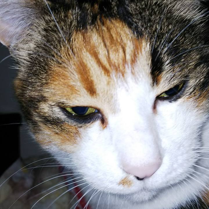 053cc017 d354 4b79 89da ea05220304fe 1535319974022