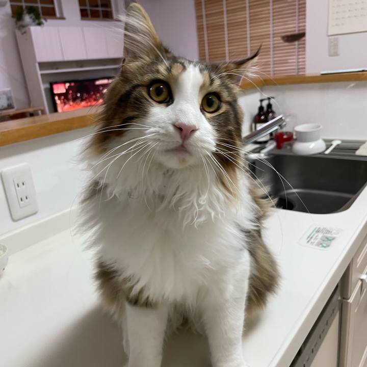 053d3dd2 6783 4f5c b1a6 8c4f0b527de5 1643832967989