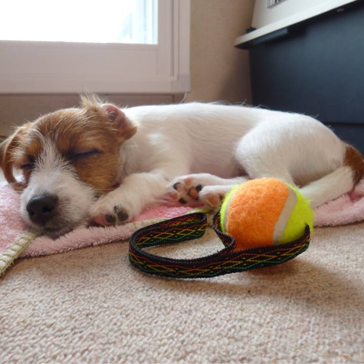 053d4b29 31fd 4a2a 9565 b21db4a48cc3 1539986182863