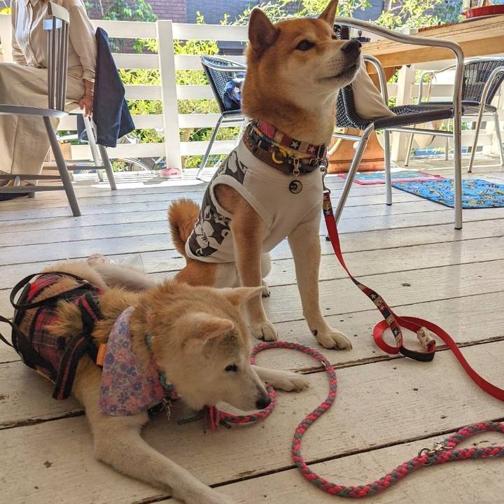 053d55ec 1513 4198 963c f2e4d13798d6 1653309701007