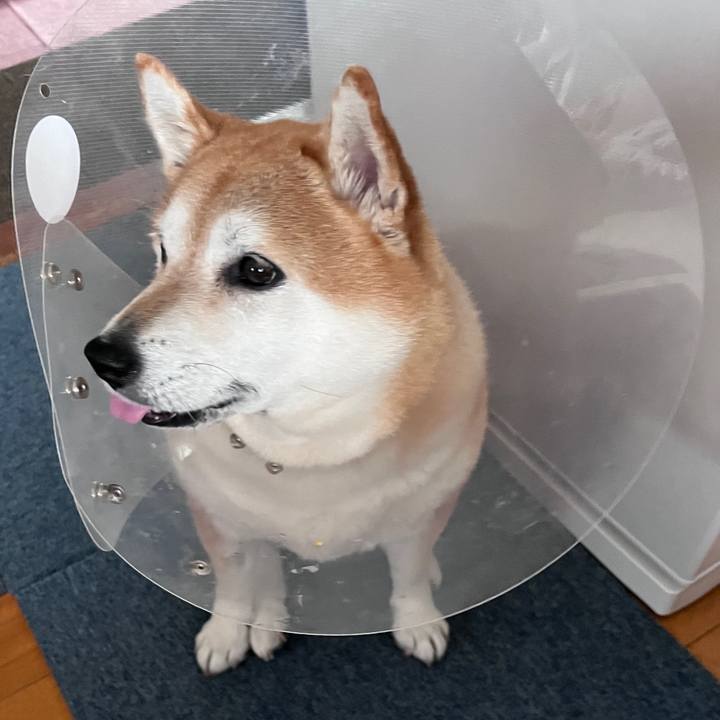 053d8859 3efb 4f11 8513 33aa9b1bbc6a 1704591683060