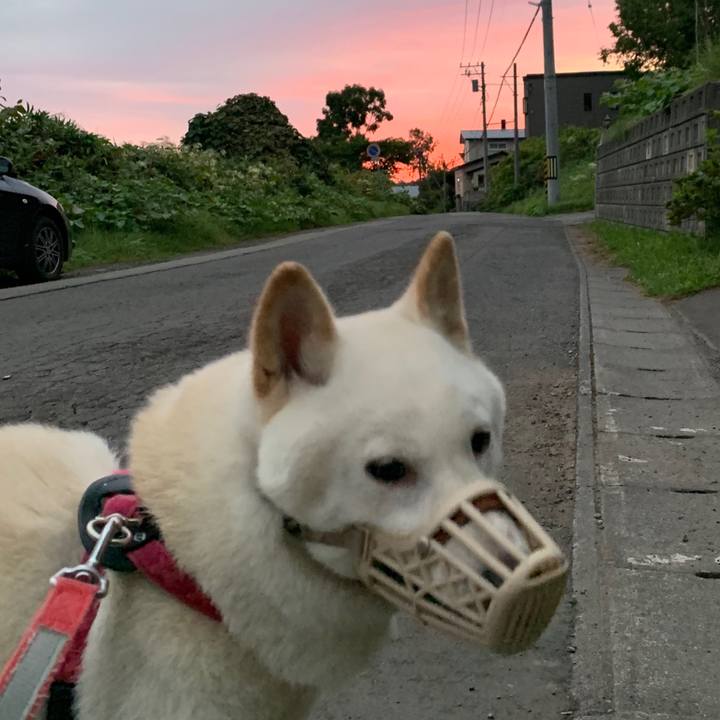 053d99b0 c60d 4b4c b18b 8fa6f70e59b0 1568149781520