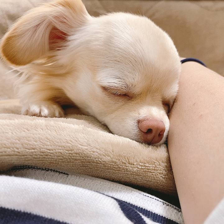 053dc5b5 67cb 47fe 8c19 fdb02ef70541 1618822060153