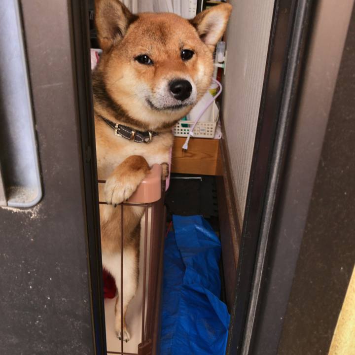 053dc840 e173 4a94 8fde 547aa31fde27 1534459292547