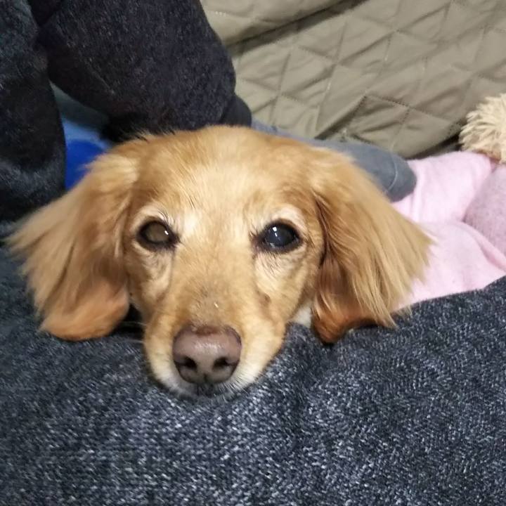 053e1d54 d653 492b b4e7 57048a7a10a3 1622208725077