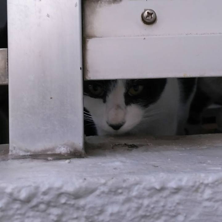 053e2f02 fb5f 4134 8236 544f37f4f007 1541394007084