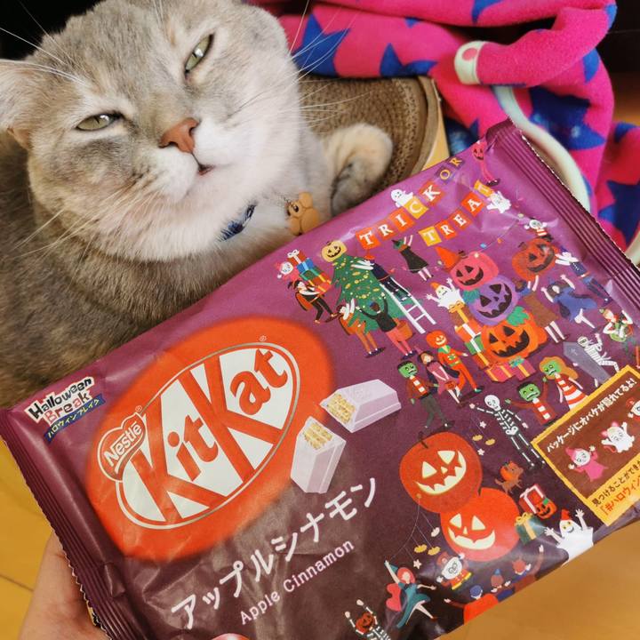 053e4cd1 f5bc 4f95 bb68 07010e2165b3 1635571207403