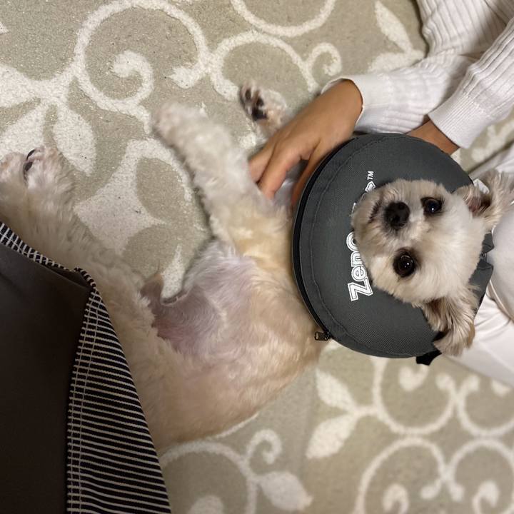 053e67b6 ec91 404d 8e7b 57aa33e50c45 1573649836721