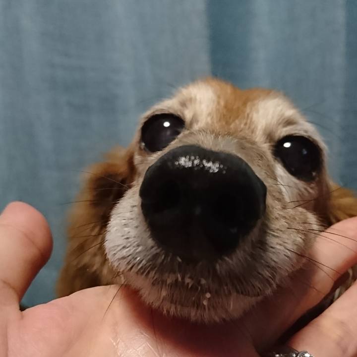 053e8c53 410a 411f a37a 7804ce44e168 1513039749346