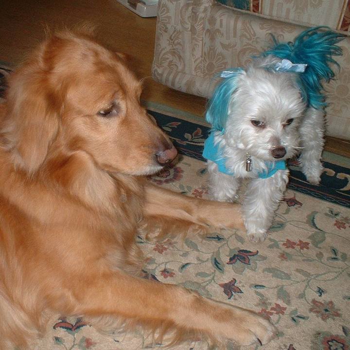 053ea016 4d9f 4926 9b49 c74aac096ec3 1519573106960