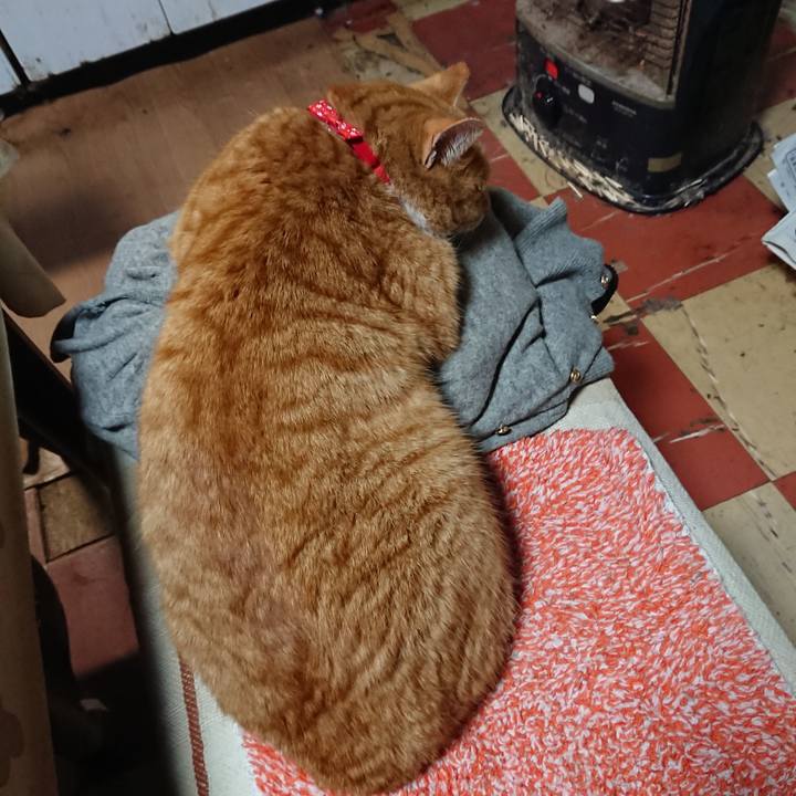 053ebf28 bbe6 4325 a85a 1f9fb1ccc5f5 1577527815142