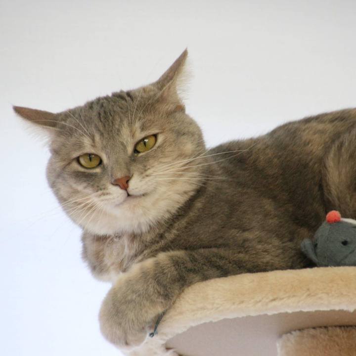 053f0423 29f9 43f8 b040 d51769eaa043 1537258685435