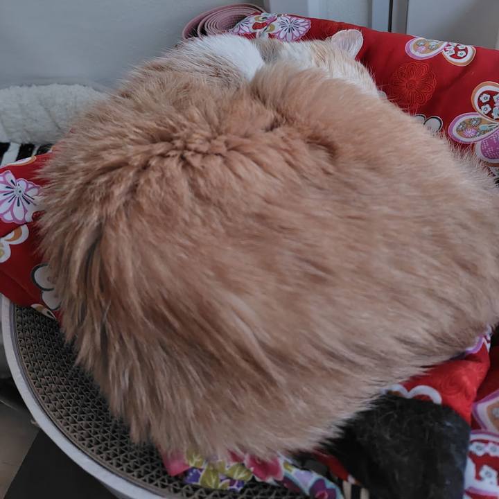 053f3508 e0e1 42da ab7e 229bf97c69d6 1739522545032