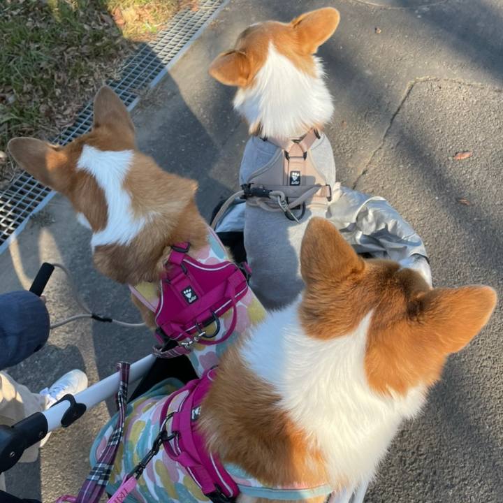 053f4cfb d4eb 48db 8078 a39b9e2c4dce 1609057003137