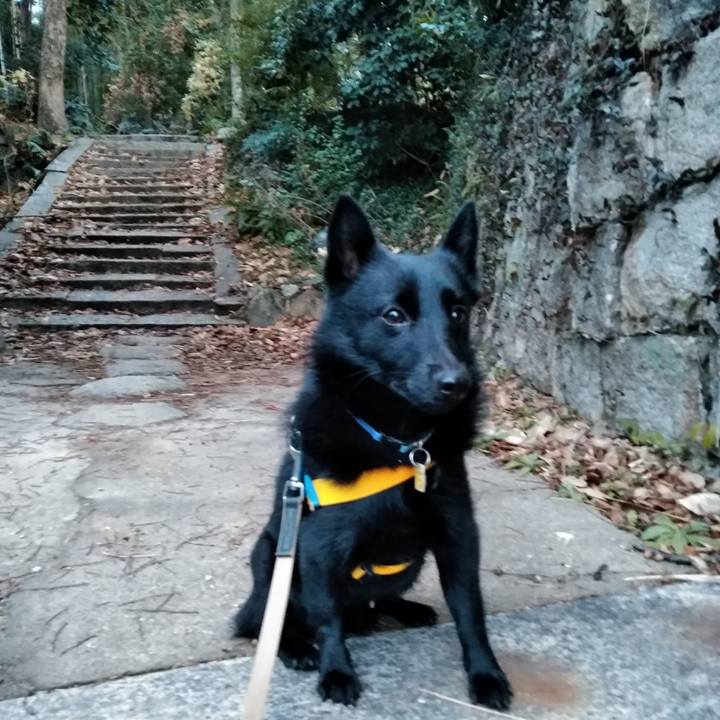 053f5e42 c6e8 46ca 8eb9 d54a4df0ef23 1579472286776