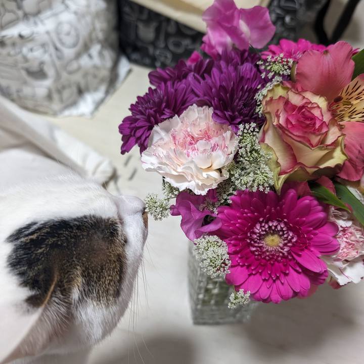 053f6919 947d 46bd b8b0 c17a843788f3 1707910565584